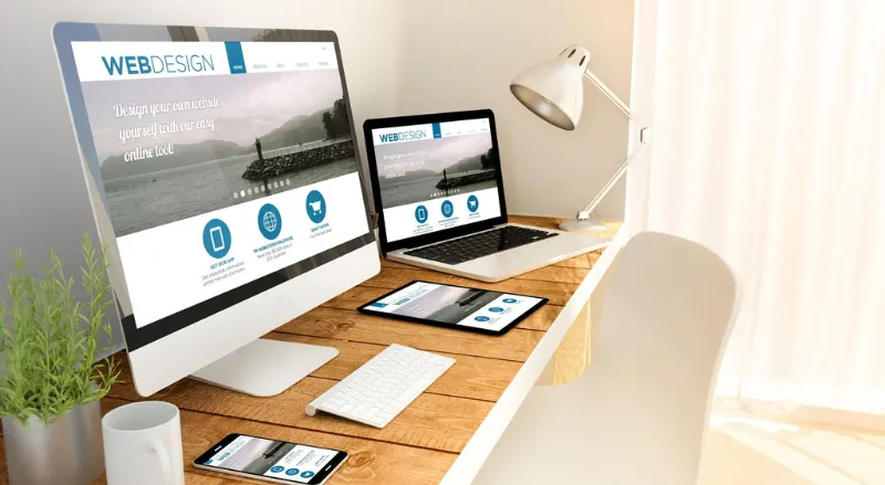 Professional Website Development Solutions for Business Growth