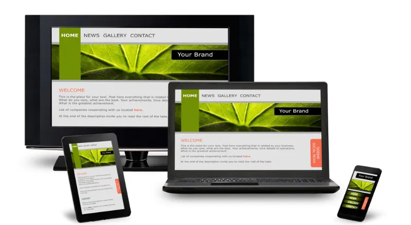 Professional Website Development Solutions for Business Growth